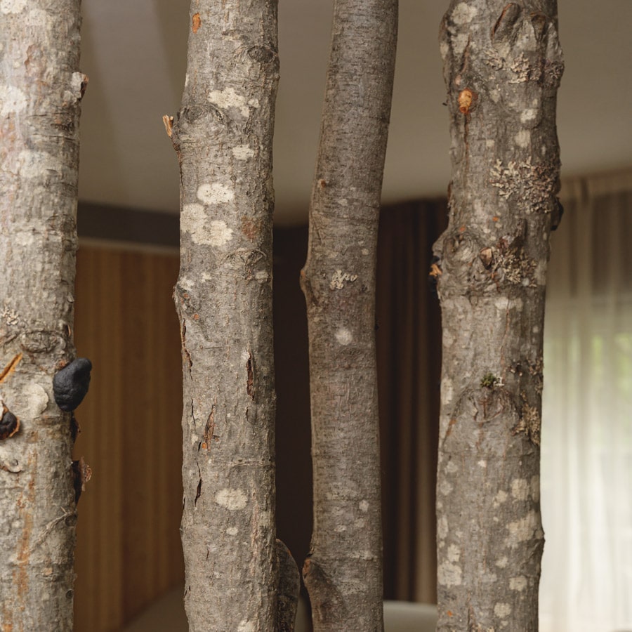 Ladinarredi_Hotel-Gran-Baita06