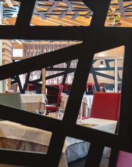 Ladinarredi_PicchioRosso_focus02