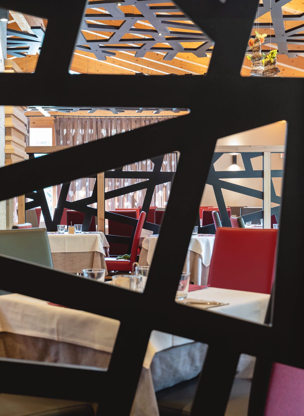 Ladinarredi_PicchioRosso_focus02